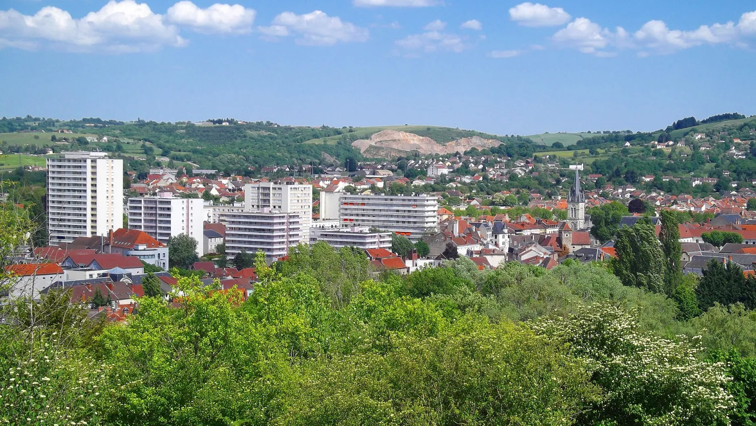 Vue de Cusset (Allier) - état des risques et pollutions (ERP)
