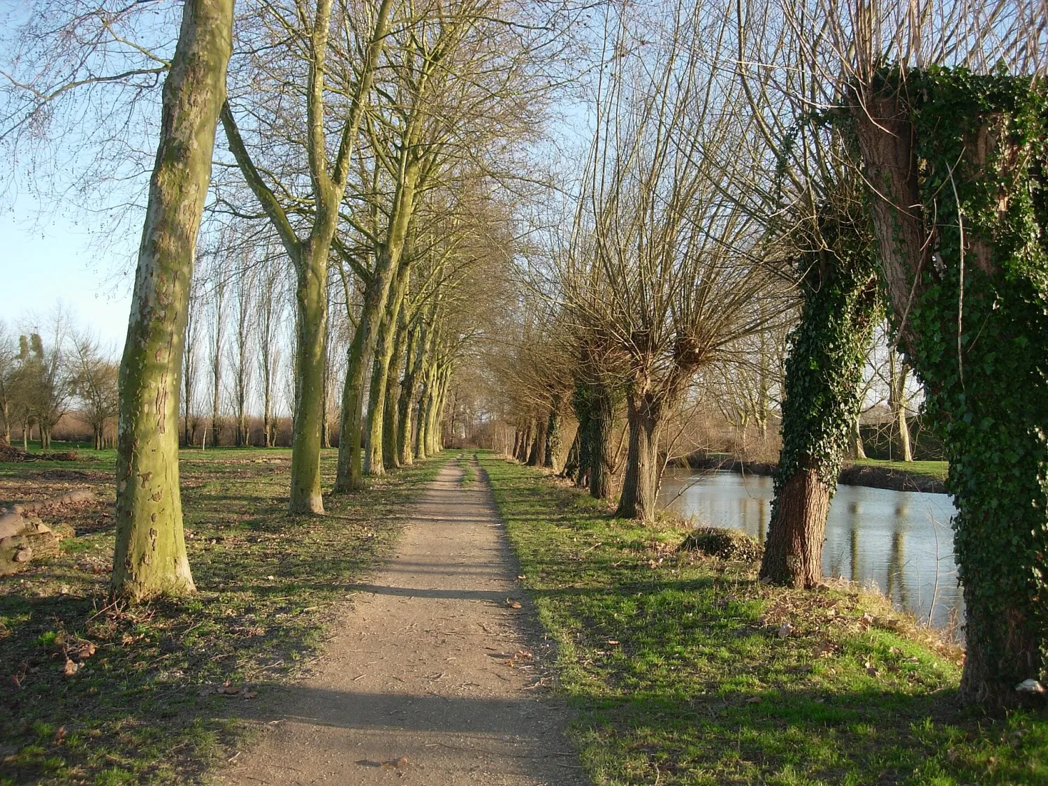 Vue de Romilly-sur-Seine (Aube) - état des risques et pollutions (ERP)
