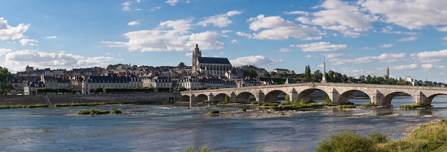 Vue de Blois (Loir-et-Cher) - état des risques et pollutions (ERP)