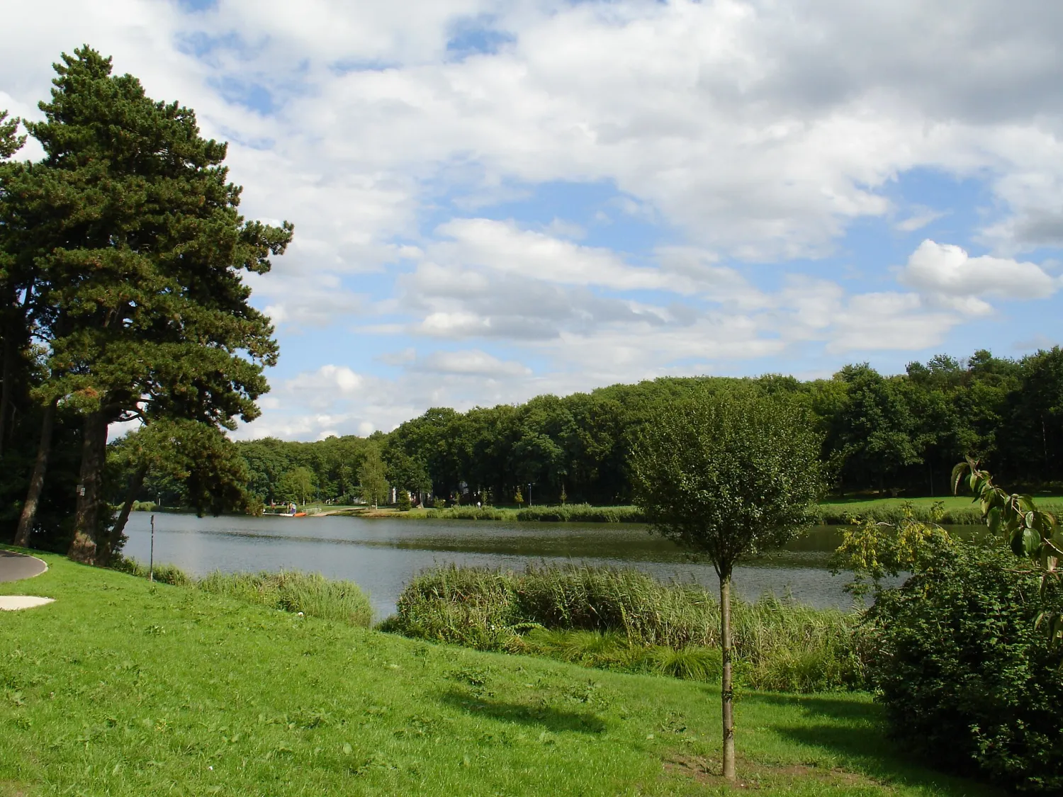 Vue de Creutzwald (Moselle) - état des risques et pollutions (ERP)