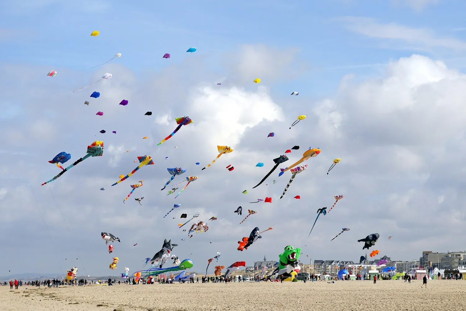 Vue de Berck (Pas-de-Calais) - état des risques et pollutions (ERP)