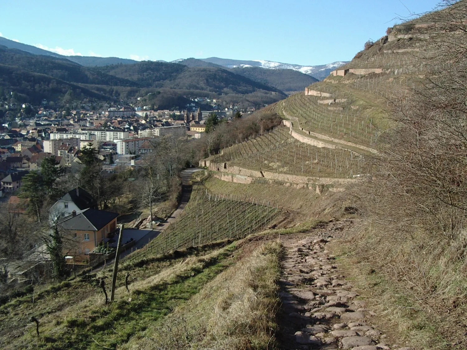 Vue de Guebwiller (Haut-Rhin) - état des risques et pollutions (ERP)