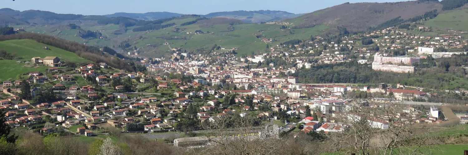 Vue de Tarare (Rhône) - état des risques et pollutions (ERP)