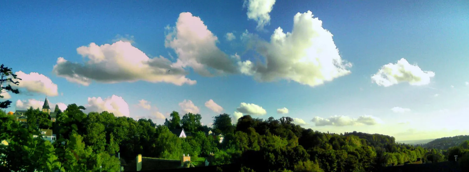Vue de Bois-Guillaume (Seine-Maritime) - état des risques et pollutions (ERP)
