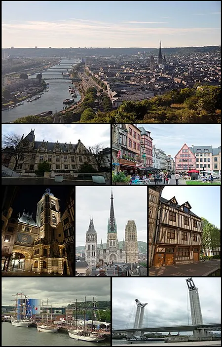 Vue de Rouen (Seine-Maritime) - état des risques et pollutions (ERP)
