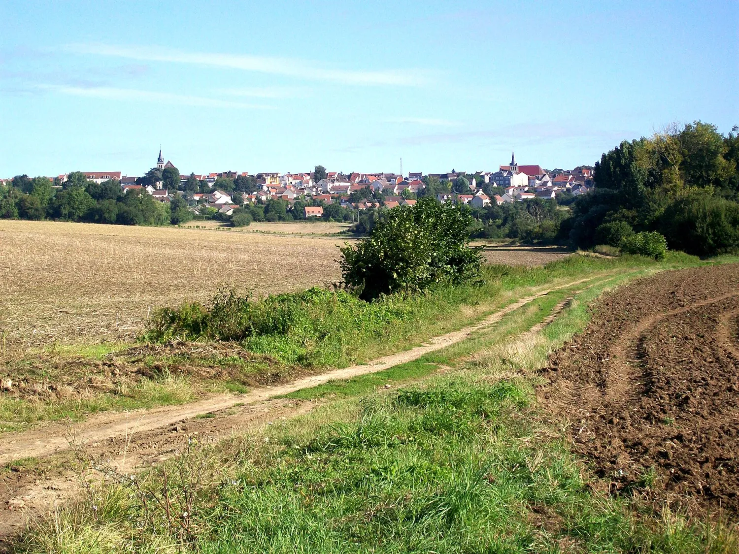 Vue de Dammartin-en-Goële (Seine-et-Marne) - état des risques et pollutions (ERP)