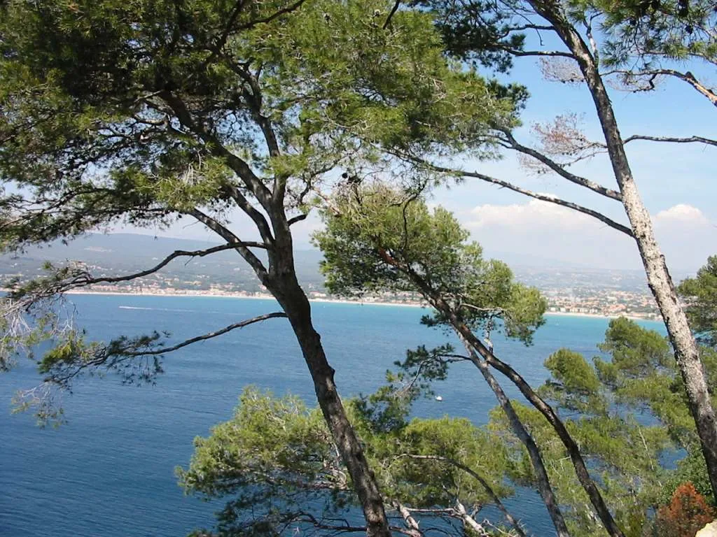 Vue de Saint-Cyr-sur-Mer (Var) - état des risques et pollutions (ERP)