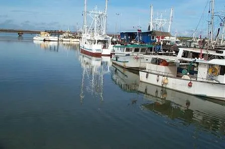 Vue de Matoury (Guyane) - état des risques et pollutions (ERP)