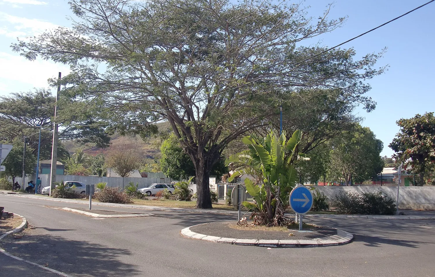 Vue de Pamandzi (Mayotte) - état des risques et pollutions (ERP)